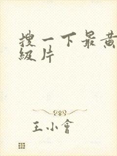 搜一下最黄的一级片