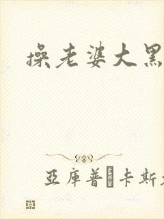 操老婆大黑逼