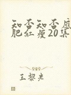 知否知否应是绿肥红瘦20集