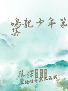 鸣龙少年第20集