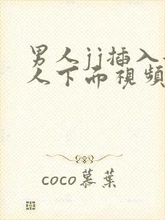 男人jj插入女人下面视频