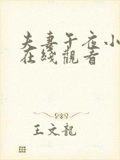 夫妻午夜小视频在线观看