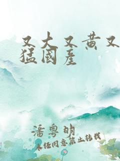 又大又黄又粗又猛国产