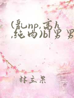(乱np,高h,纯肉)bl男男