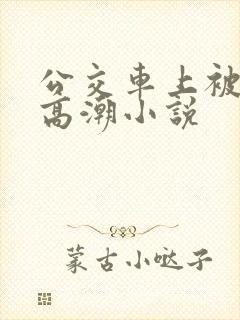 公交车上被插入高潮小说