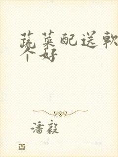 蔬菜配送软件哪个好