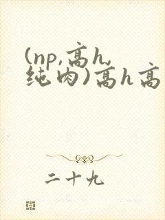 (np,高h,纯肉)高h高辣小说