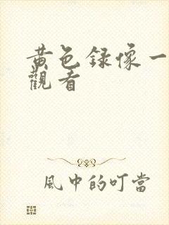 黄色录像一级片观看