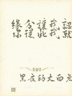 缘分让我认识了你从此我就爱上你是什么歌名