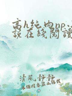 高h纯肉np小说在线阅读