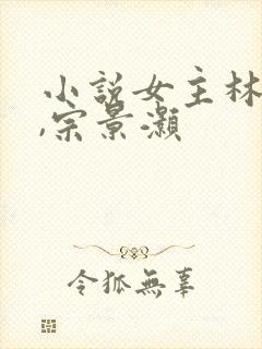 小说女主林辛言,宗景灏