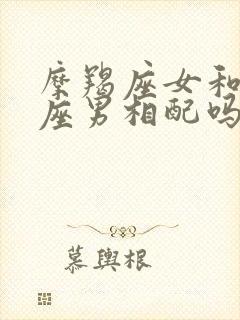 摩羯座女和水瓶座男相配吗