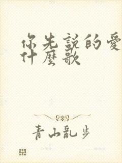 你先说的爱我是什么歌