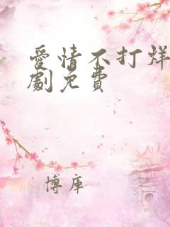 爱情不打烊电视剧免费