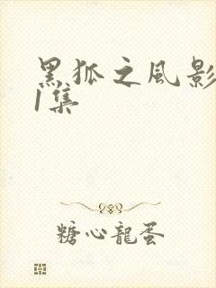 黑狐之风影第21集
