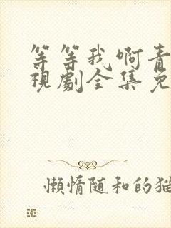 等等我啊青春电视剧全集免费观看