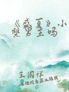 《盛夏》小说是双男主吗