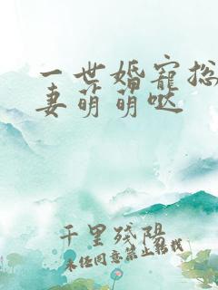 一世婚宠总裁娇妻萌萌哒