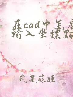 在cad中怎么输入坐标点