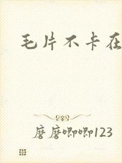 毛片不卡在线