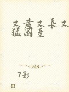 又黄又长又大粗猛国产