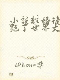 小说离婚后她惊艳了世界大结局