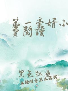 第一豪婿小说免费阅读