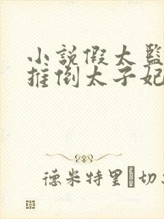 小说假太监:从推倒太子妃开始李显无弹窗