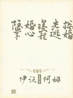 隐婚曝光总裁的掌心宠逃婚了贺聿舟无删减