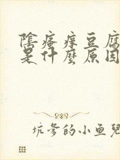 阴瘙痒豆腐渣样是什么原因