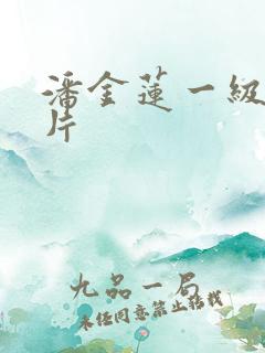 潘金莲一级肉体片