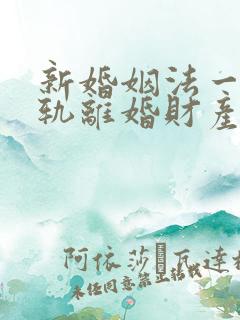 新婚姻法一方出轨离婚财产分割