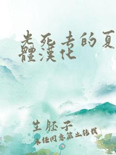 光死去的夏天简体汉化