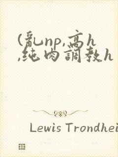 (乱np,高h,纯肉调教h