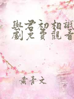 与君初相识电视剧免费观看高清