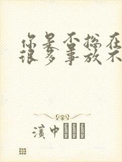 你是否总在讲有很多事放不下这首歌是什么歌