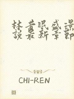 林昔眠盛璟承小说最新章节免费阅读