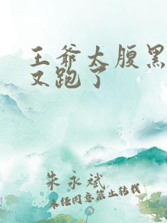 王爷太腹黑王妃又跑了