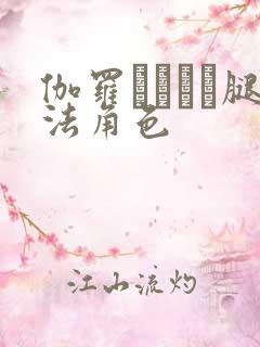 伽罗ちゃんが腿法角色