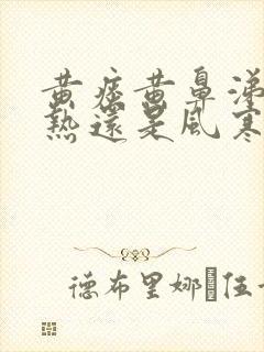 黄痰黄鼻涕是风热还是风寒