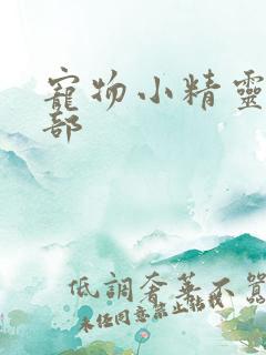 宠物小精灵第五部