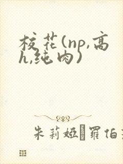 校花(np,高h,纯肉)