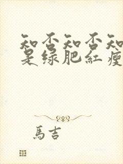 知否知否知否应是绿肥红瘦在线免费观看