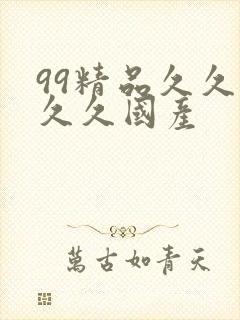 99精品久久久久久国产