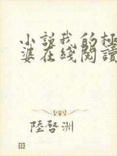 小说我的极品老婆在线阅读全文