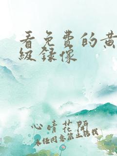 看免费的黄色一级录像