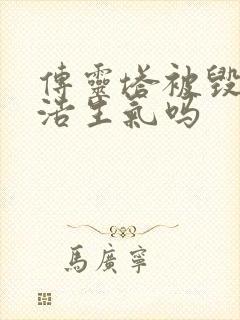 传灵塔被毁霍雨浩生气吗