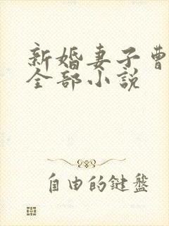 新婚妻子曹仁妻全部小说