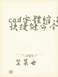 cad字体缩小快捷键命令