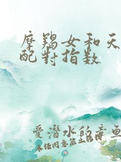 摩羯女和天秤男配对指数